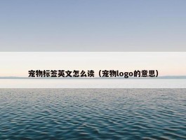 宠物标签英文怎么读（宠物logo的意思）