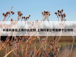 抖音抖音在上海什么区别 上海抖音公司是哪个公司的