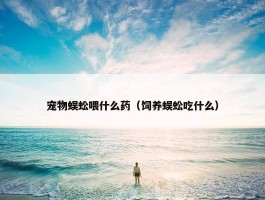 宠物蜈蚣喂什么药（饲养蜈蚣吃什么）