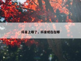 抖音上哪了，抖音现在在哪