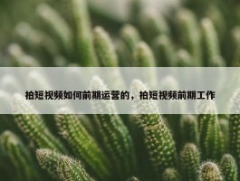 拍短视频如何前期运营的，拍短视频前期工作