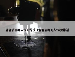 爸爸去哪儿人气排行榜（爸爸去哪儿人气总排名）