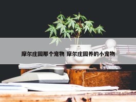 摩尔庄园那个宠物 摩尔庄园养的小宠物