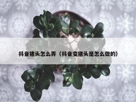 抖音猪头怎么弄（抖音变猪头是怎么做的）