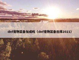 dnf宠物装备加成吗（dnf宠物装备选择2021）