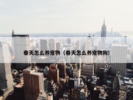 春天怎么养宠物（春天怎么养宠物狗）