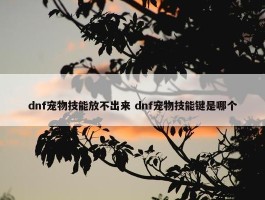 dnf宠物技能放不出来 dnf宠物技能键是哪个