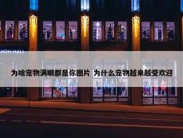 为啥宠物满眼都是你图片 为什么宠物越来越受欢迎