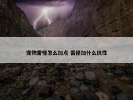 宠物雷怪怎么加点 雷怪加什么抗性