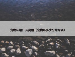 宠物环给什么奖励（宠物环多少分给东西）