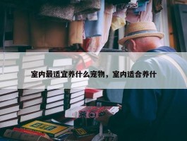 室内最适宜养什么宠物，室内适合养什