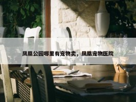 凤凰公园哪里有宠物卖，凤凰宠物医院