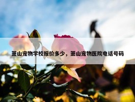 萧山宠物学校报价多少，萧山宠物医院电话号码