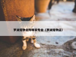 罗湖宠物会所哪家专业（罗湖宠物店）