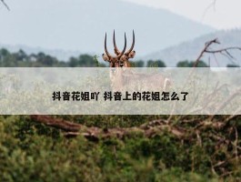 抖音花姐吖 抖音上的花姐怎么了