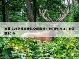 本菲卡vs马德里竞技全场数据：射门数19-4，射正数10-0