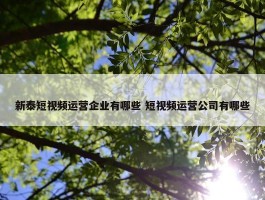 新泰短视频运营企业有哪些 短视频运营公司有哪些