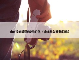 dnf没有宠物如何幻化（dnf怎么宠物幻化）