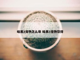 暗黑3宠物怎么带 暗黑3宠物获得