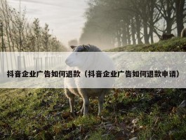 抖音企业广告如何退款（抖音企业广告如何退款申请）