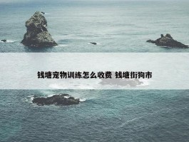 钱塘宠物训练怎么收费 钱塘街狗市