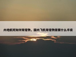 内地航班如何带宠物，国内飞机带宠物需要什么手续