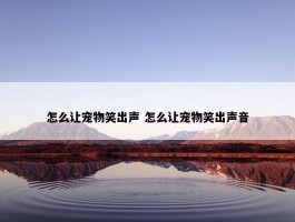 怎么让宠物笑出声 怎么让宠物笑出声音