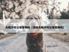 大梅沙可以带宠物吗（深圳大梅沙可以带宠物吗）