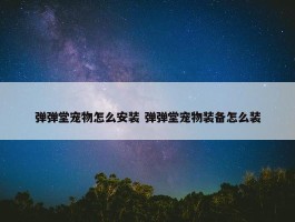 弹弹堂宠物怎么安装 弹弹堂宠物装备怎么装