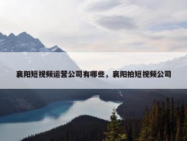 襄阳短视频运营公司有哪些，襄阳拍短视频公司