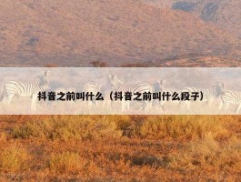 抖音之前叫什么（抖音之前叫什么段子）