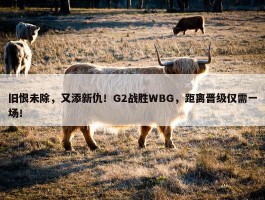 旧恨未除，又添新仇！G2战胜WBG，距离晋级仅需一场！