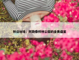 秋日秘境：阿勒泰桦林公园的金黄盛宴