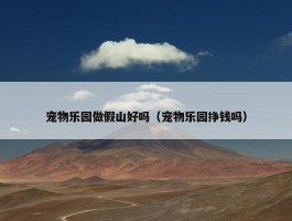 宠物乐园做假山好吗（宠物乐园挣钱吗）