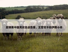 亚锦赛中国男团首战告捷，王楚钦不敌伊朗小将