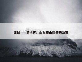 足球——足协杯：山东泰山队晋级决赛