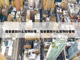 宿舍里放什么宠物好看，宿舍里放什么宠物好看呢