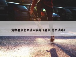 宠物老鼠怎么消灭病毒（老鼠 怎么消毒）