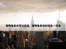 宠物兔多大可以洗澡，宠物兔多长时间洗一次澡