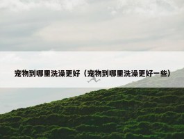 宠物到哪里洗澡更好（宠物到哪里洗澡更好一些）