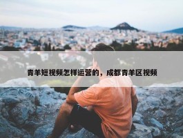 青羊短视频怎样运营的，成都青羊区视频