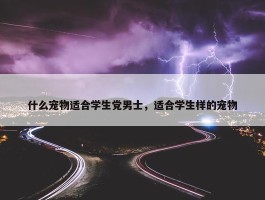 什么宠物适合学生党男士，适合学生样的宠物