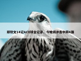 郑钦文14记ACE球全记录，今晚将冲击中网4强