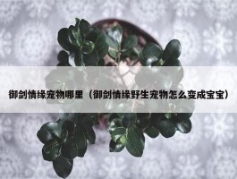 御剑情缘宠物哪里（御剑情缘野生宠物怎么变成宝宝）