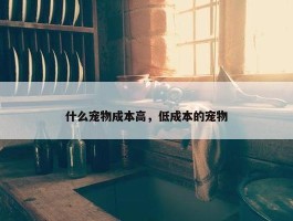 什么宠物成本高，低成本的宠物