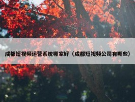 成都短视频运营系统哪家好（成都短视频公司有哪些）