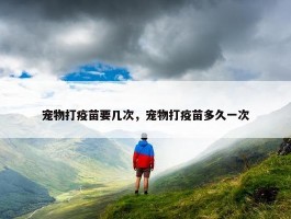 宠物打疫苗要几次，宠物打疫苗多久一次