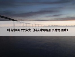 抖音水印尺寸多大（抖音水印是什么意思图片）