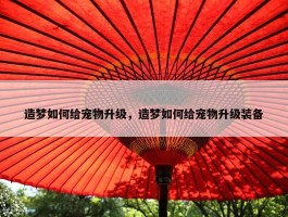 造梦如何给宠物升级，造梦如何给宠物升级装备