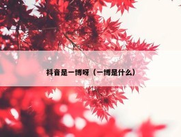 抖音是一博呀（一博是什么）